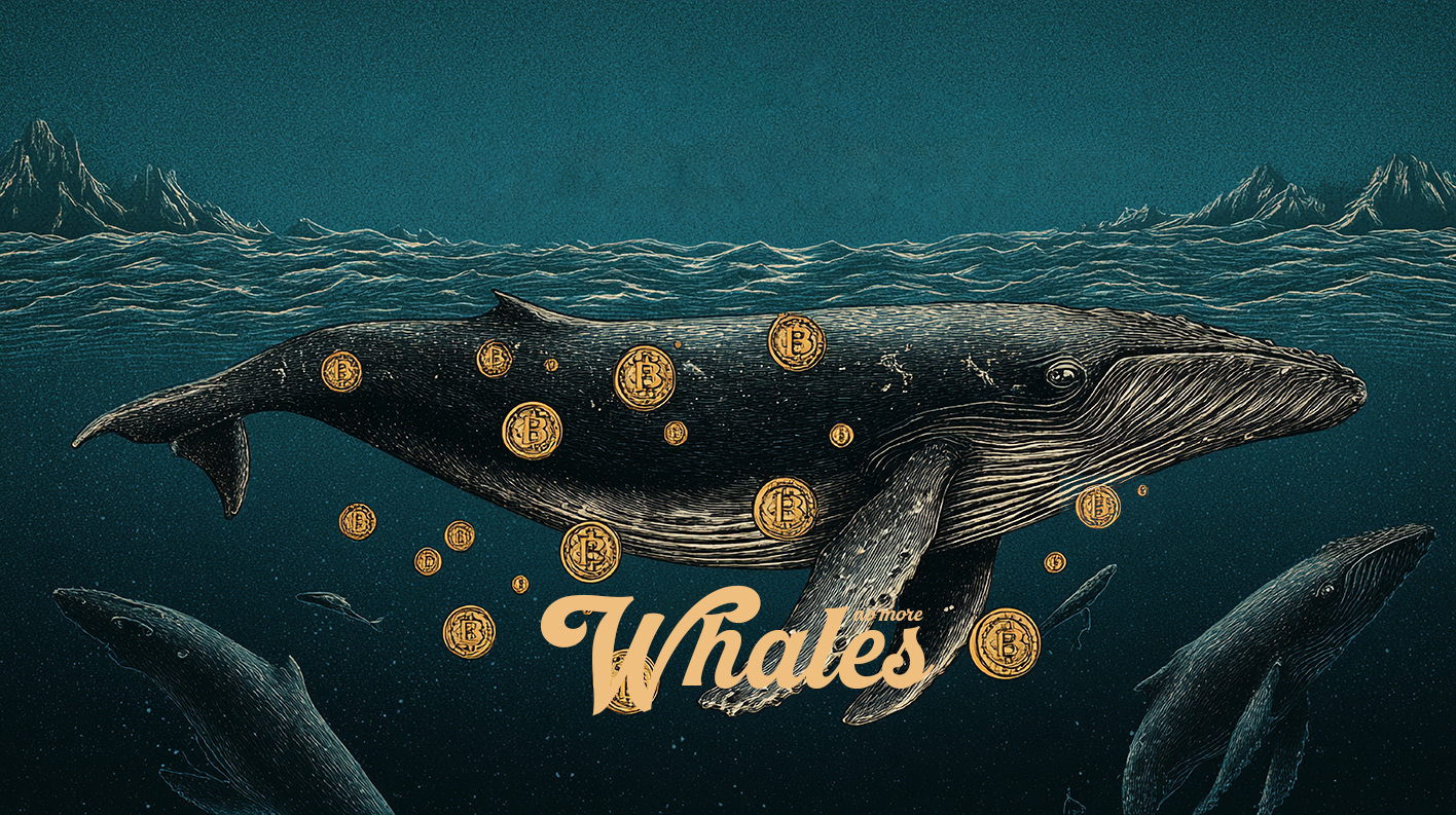 NoMoreWhales Crypto Club-invest